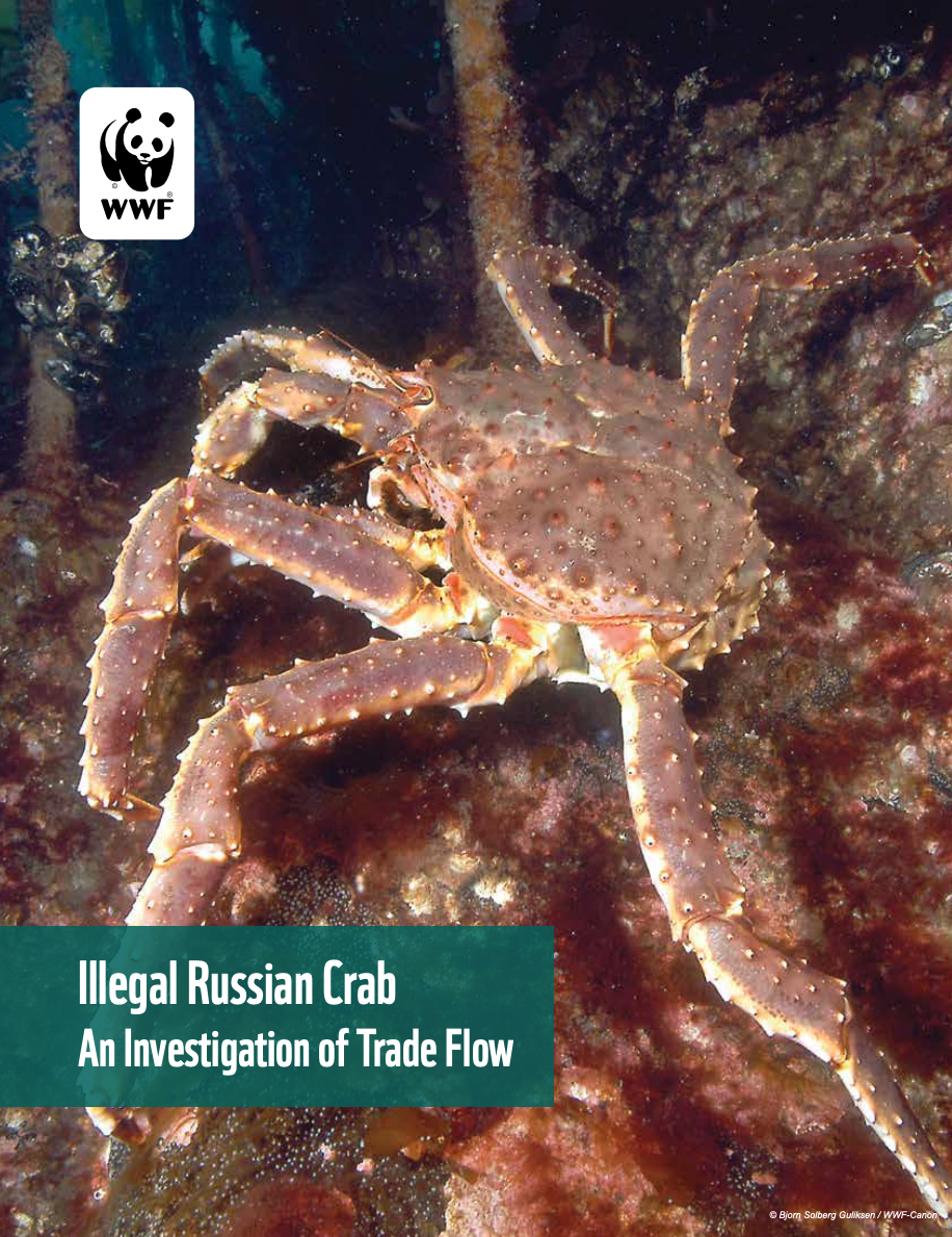 Illegal Russian Crab: An Investigation of Trade Flow