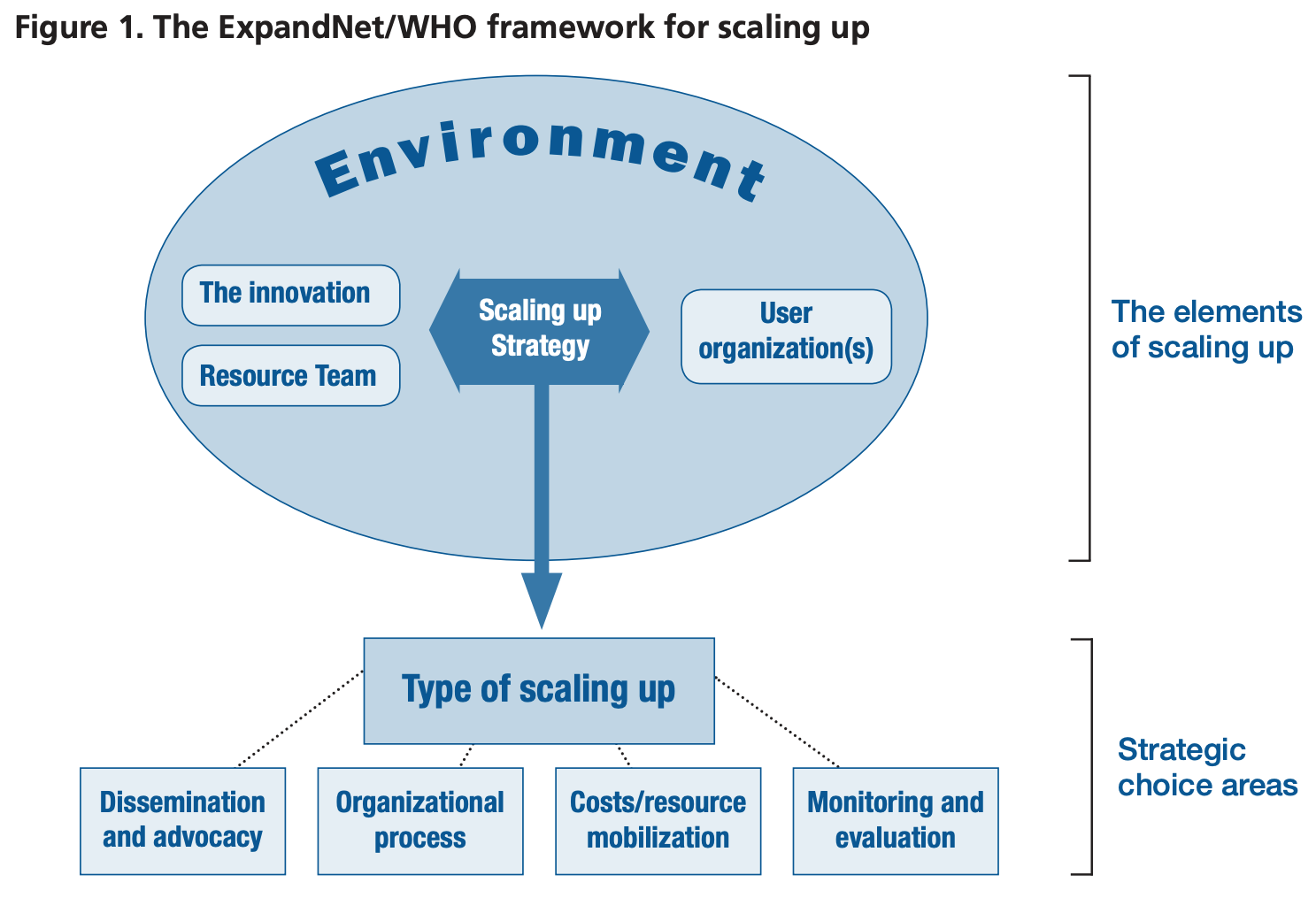 Nine Steps for Developing a Scaling-up Strategy