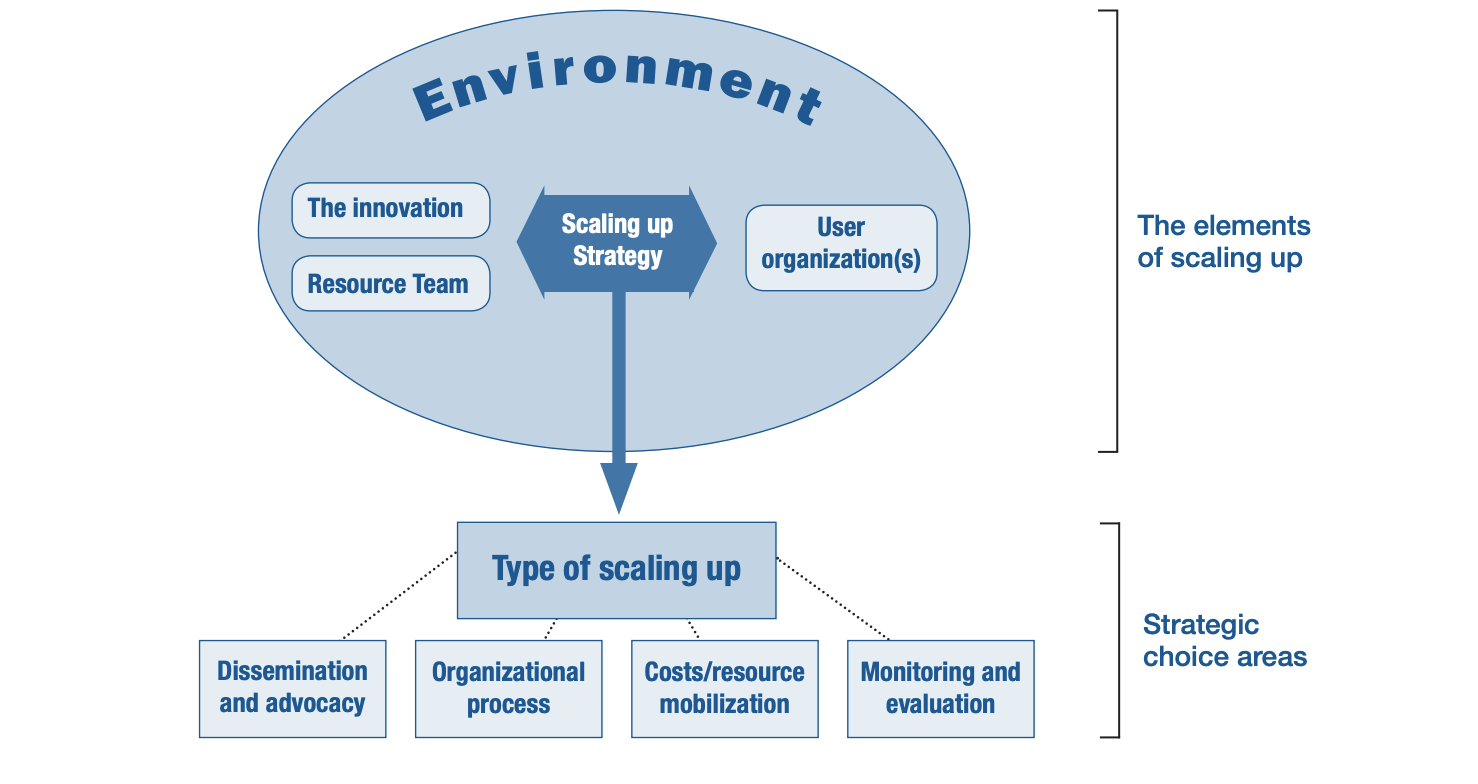 Nine Steps For Developing A Scaling-up Strategy - SALT