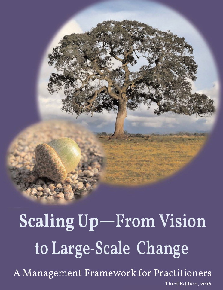 Scaling Up: From Vision to Large-Scale Change