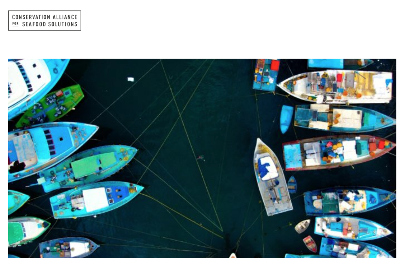 image of boats from Conservation ALliance website