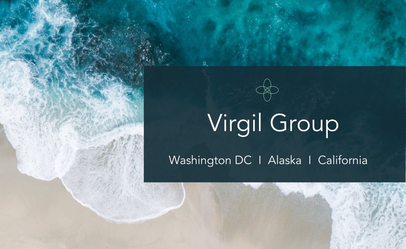 Virgil Group name over ocean image