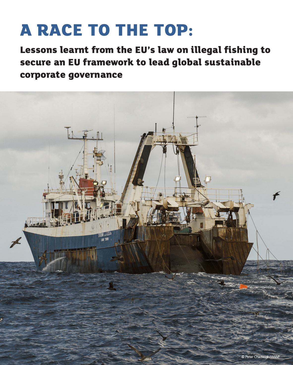 Lessons learnt from the EU’s law on illegal fishing to secure an EU framework to lead global sustainable corporate gover