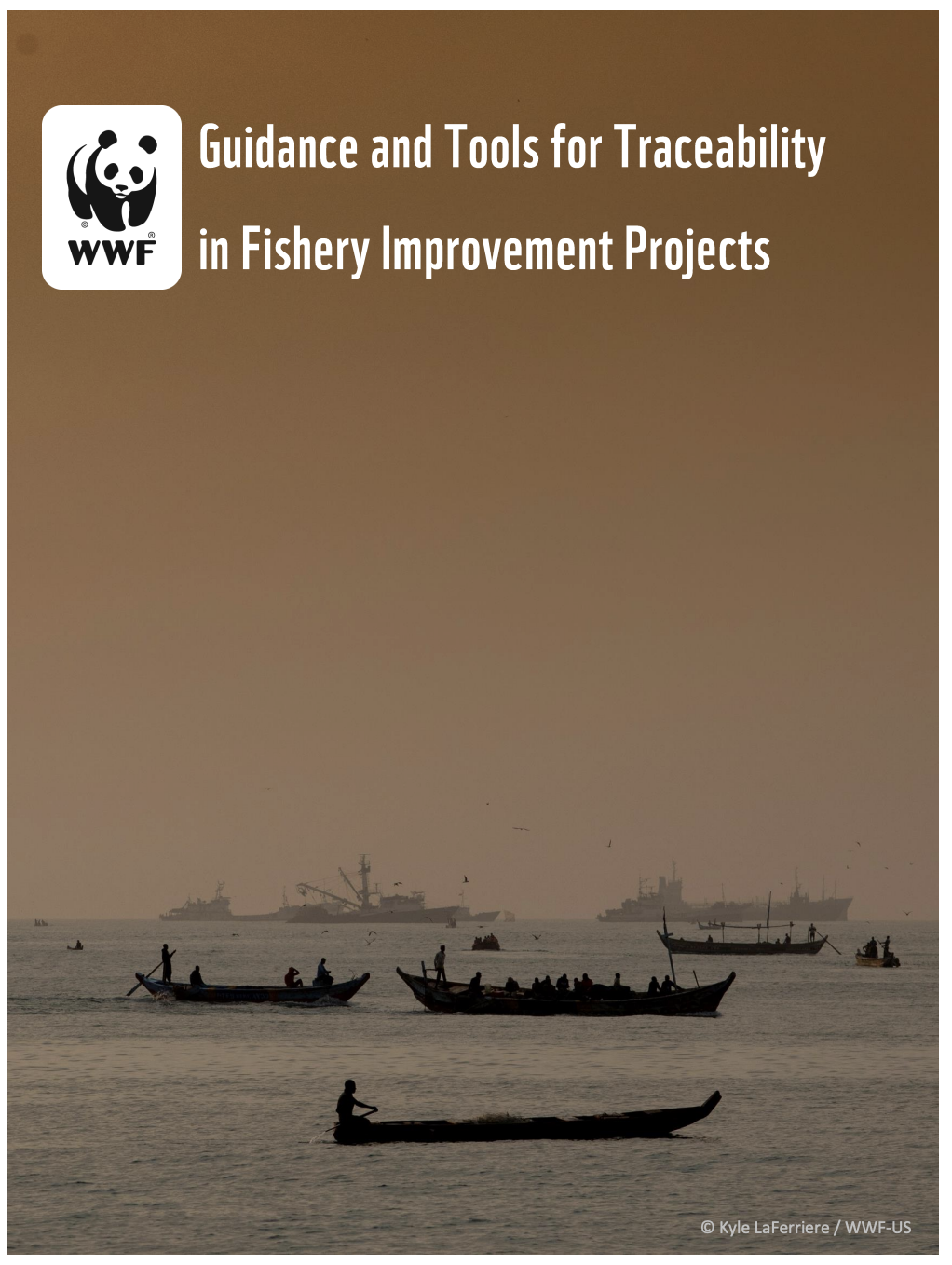 Guidance and Tools for Traceability in Fishery Improvement Projects