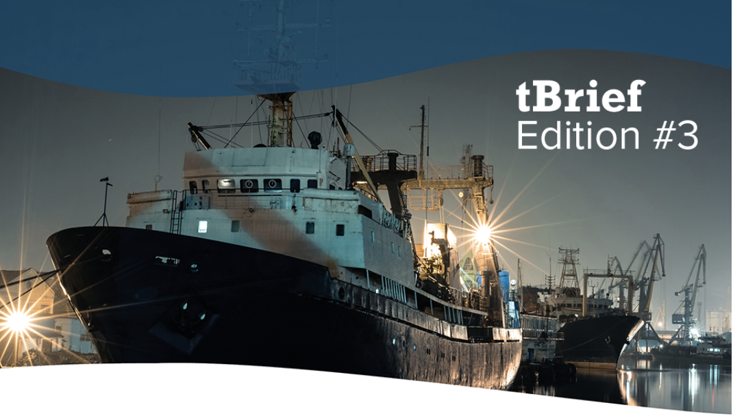 tBrief #3 – Fishing in the dark: Transparency of beneficial ownership