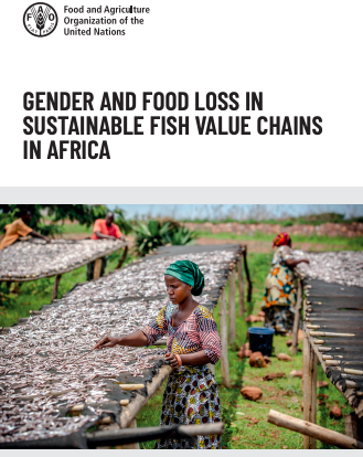 GENDER AND FOOD LOSS IN SUSTAINABLE FISH VALUE CHAINS IN AFRICA