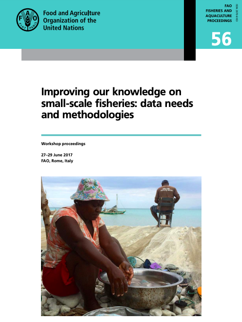 Improving our knowledge on small-scale fisheries: data needs and methodologies