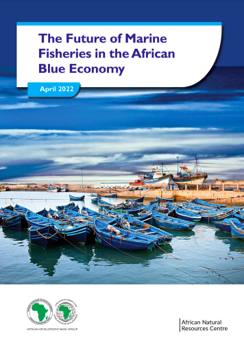 The Future of Marine Fisheries in the African Blue Economy
