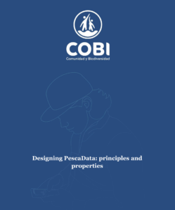 cover of COBI report