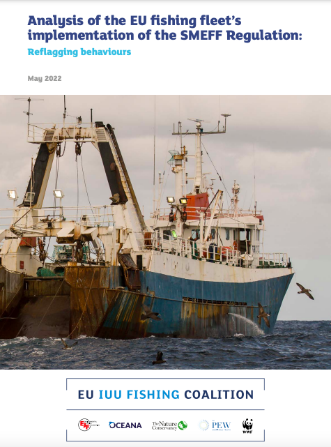 Analysis of the EU fishing fleet’s implementation of the SMEFF