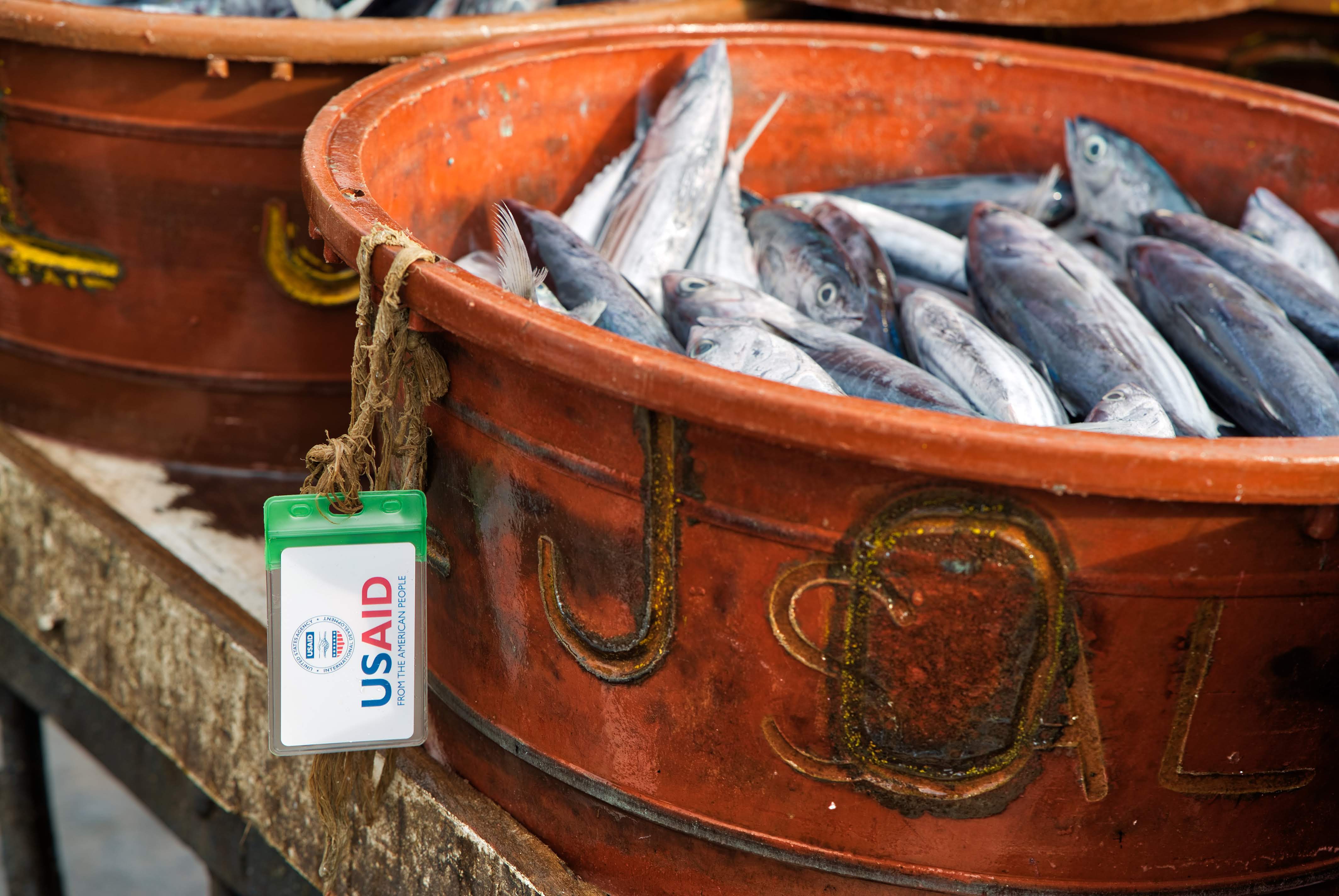 USAID tagged fish